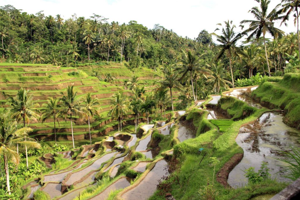 overseas holiday idea bali